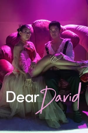 Dear David (2023) บรรยายไทย