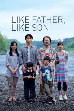 Like Father Like Son พ่อครับ..รักผมได้ไหม (2013)